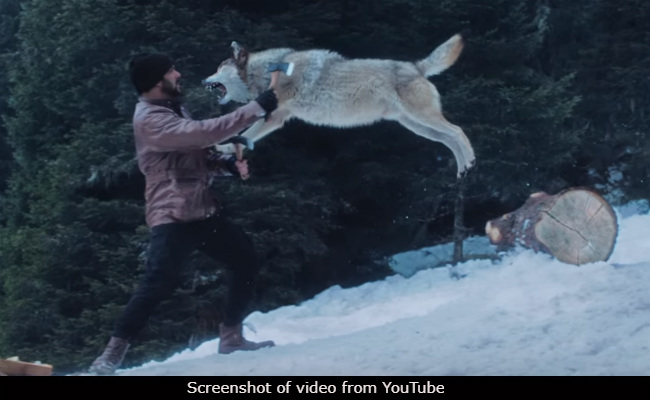 Salman Khan Vs A Wolf Pack In <I>Tiger Zinda Hai</i> Scene