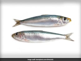 Woman Dies Of Rare Disease After Eating Sardines In Popular French Town Woman Dies Of Rare Disease After Eating Sardines In Popular French Town