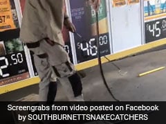 4-Foot Venomous Snake Was Curled Up Inside Box. Watch How It Was Captured