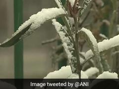 जम्‍मू-कश्‍मीर: श्रीनगर में मौसम की पहली बर्फबारी, नेशनल हाईवे बंद किया गया, देखें PHOTOS