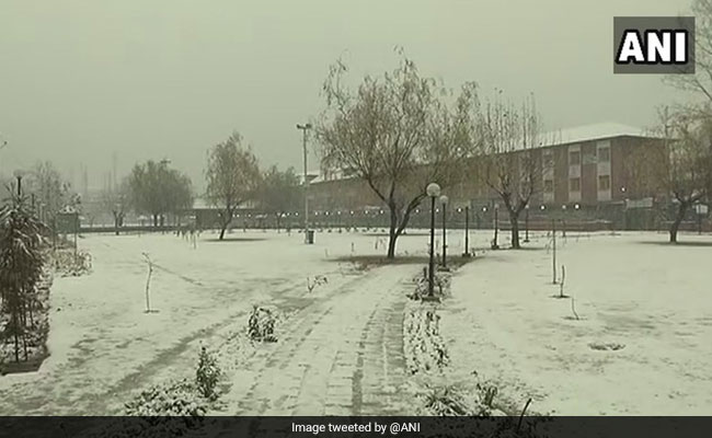 snowfall