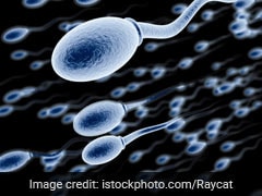 Novel Sperm-Sorting Device Could Improve IVF Success