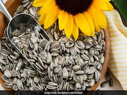 Seeds Benefits: गजब फायदों से भरे हैं ये 6 बीज, चिया के बीज डायबिटीज कंट्रोल करते हैं, अलसी पाचन के लिए है कमाल Seeds Benefits: गजब फायदों से भरे हैं ये 6 बीज, चिया के बीज डायबिटीज कंट्रोल करते हैं, अलसी पाचन के लिए है कमाल
