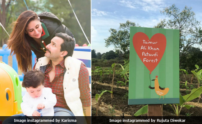 Kareena Kapoor's Son Taimur Gets A Forest - Yes, A Forest - As Birthday Gift. And It's Lovely