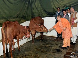 Yogi Adityanath Government Drops 22-Year-Old Case Against Yogi Adityanath Yogi Adityanath Government Drops 22-Year-Old Case Against Yogi Adityanath