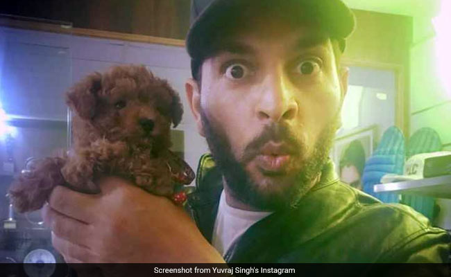 Meet Coco Singh, The Newest, Cutest Member Of Yuvraj Singh's Family