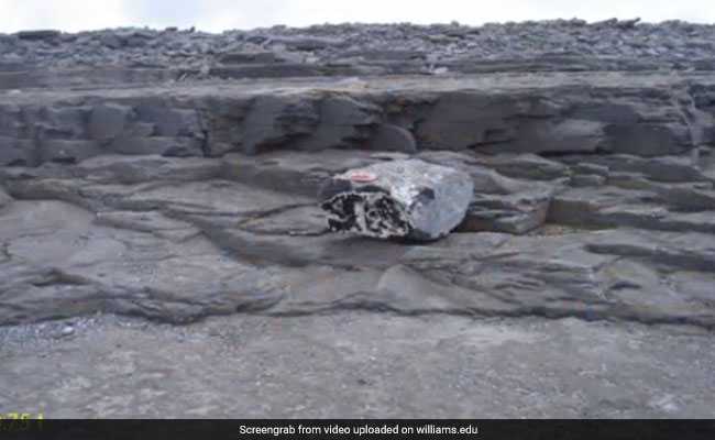 Storm Waves Moved 620-Ton Boulder. Stunning New Testament To Ocean's Power, Researchers Say