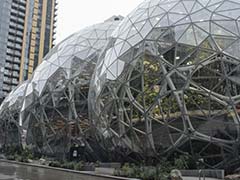 Why Amazon Built Its Workers A Mini Rain Forest In Downtown Seattle