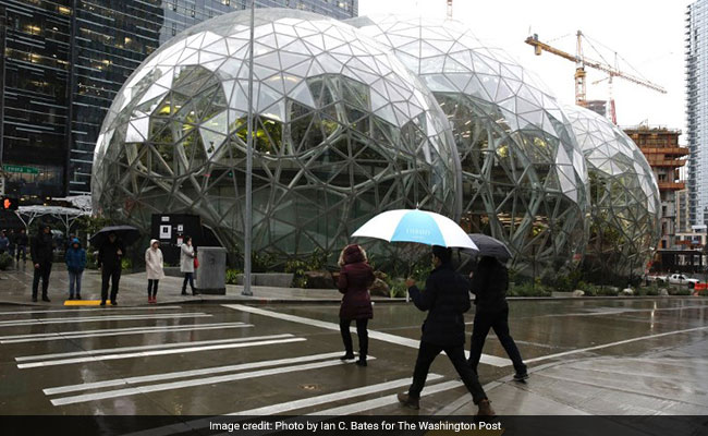 Why Amazon Built Its Workers A Mini Rain Forest Inside Three Domes In Downtown Seattle