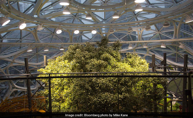 Inside Amazon S Spheres Where Workers Chill In A Rainforest
