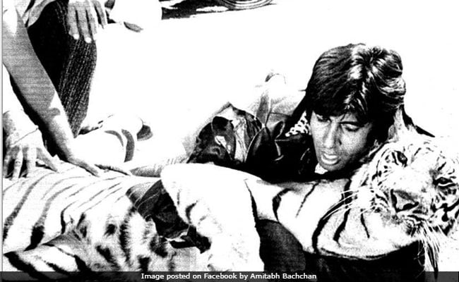 Amitabh Bachchan Reposts Khoon Pasina Pic With Tiger, Adds This Abhishek Detail