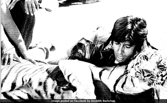 Amitabh Bachchan Reposts <i>Khoon Pasina</i> Pic With Tiger, Adds This Abhishek Detail