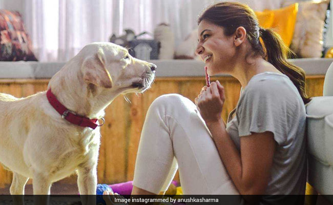 Anushka Sharma And Dude Show Us The Perfect Way To Spend A Chhutti Day