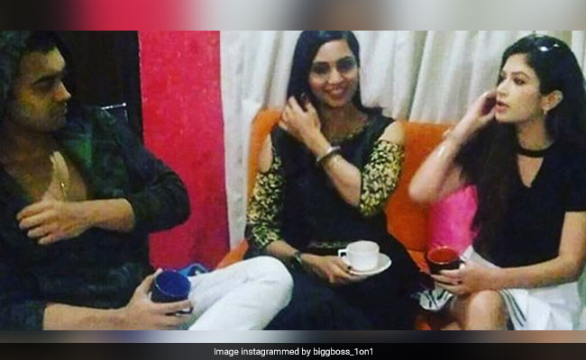 <i>Bigg Boss 11</i>: Post-Eviction, Luv Tyagi Hangs Out With Arshi Khan And Bandgi Kalra