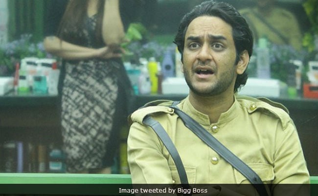 Bigg Boss 11, January 12: Clash Between 'Dictator' Vikas And 'Sherkhan' Hina