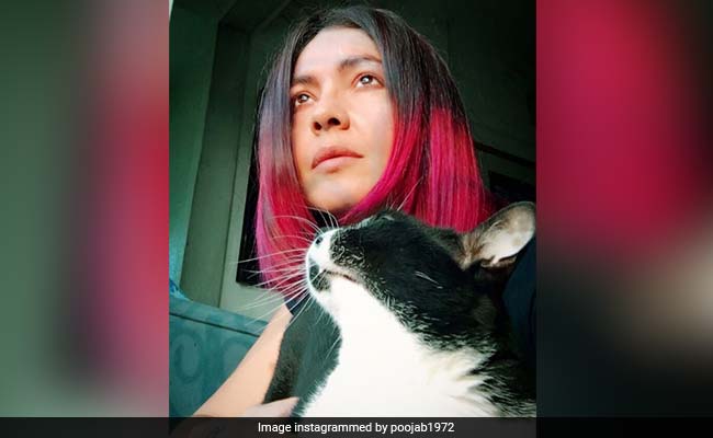 Pooja Bhatt To Twinkle Khanna: 7 Bold Celeb Hair Colours That Caught Our  Attention