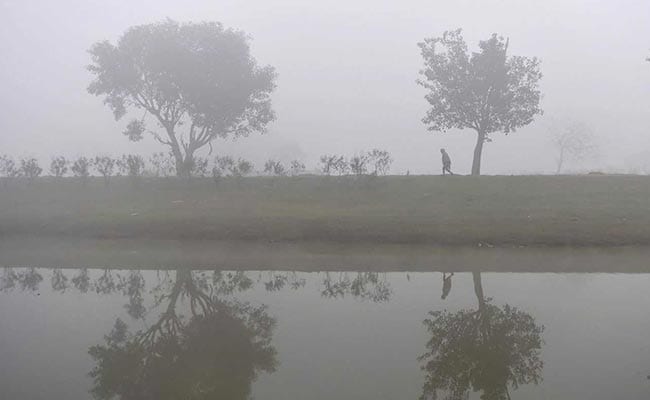 हरियाणा, पंजाब में हाड़ कंपाने वाला जाड़ा, हिसार में पारा शून्य से 1.2 डिग्री से नीचे