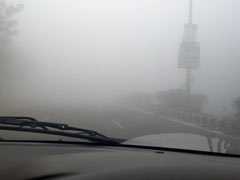 Delhi Fog On New Year's Day: Users Share Experiences On Twitter