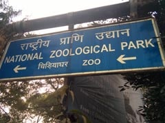 Delhi Zoo Reopens In 2 Shifts With Online Ticket Facility After 105 Days