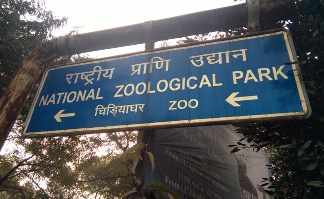 To Be Among World Top 10, Delhi Zoo Plans Virtual Reality And Mobile App