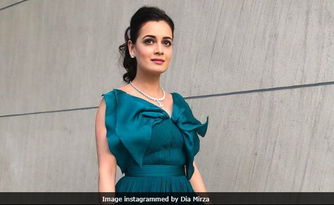 Dia Mirza Says Sanjay Dutt Biopic May Give Her Career 'A New Direction'