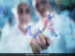 Longevity Protein Could Help Treat Diabetes, Cancer Longevity Protein Could Help Treat Diabetes, Cancer
