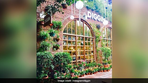 Diggin Cafe: Here's What Makes The Cutesy and Quirky Cafe Our Favourite Weekend Place