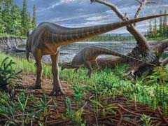 Fossil Of 2-Legged Dinosaur Swept Away In Ancient Australian River Found