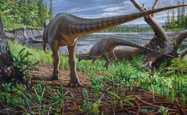 Fossil Of 2-Legged Dinosaur Swept Away In Ancient Australian River Found