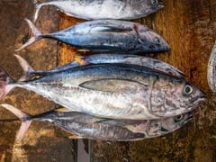 These Varieties Of Fish Have The Highest Levels Of Mercury