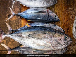 These Varieties Of Fish Have The Highest Levels Of Mercury These Varieties Of Fish Have The Highest Levels Of Mercury