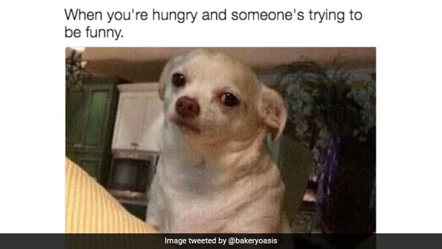 10 Hilarious Food Memes That Are Sure To Tickle Your Funny Bone And Go ...
