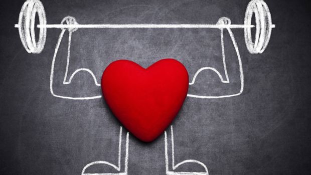 दिल का दोस्त है यह बैक्टीरिया, इसे खाने से हेल्दी रहेगा हार्ट दिल का दोस्त है यह बैक्टीरिया, इसे खाने से हेल्दी रहेगा हार्ट