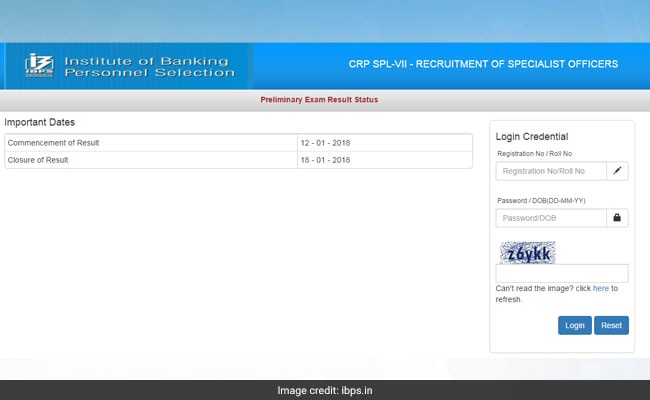 IBPS Specialist Officer Prelims Result Declared
