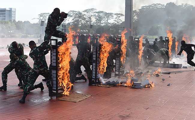 Snake Blood, Flaming Bricks: Jim Mattis Gets Bizarre Indonesian Send Off