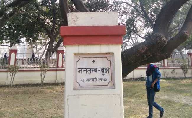 देश के इस प्रसिद्ध शहर में लगा 'जनतंत्र वृक्ष' 69 साल का हुआ