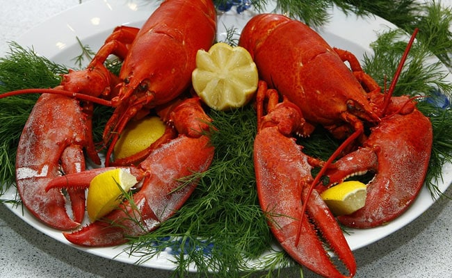 Another Country Has Banned Boiling Live Lobsters. Some Scientists Wonder Why.