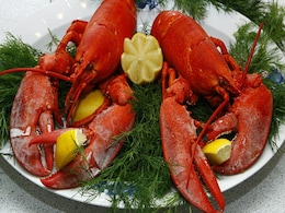 Another Country Has Banned Boiling Live Lobsters. Some Scientists Wonder Why. Another Country Has Banned Boiling Live Lobsters. Some Scientists Wonder Why.