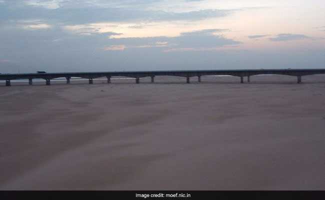 Odisha Bracing For Flood As Mahanadi Swells After Incessant Rain: Report