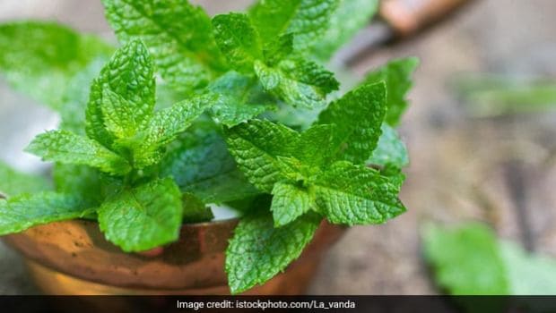 6 Interesting Ways To Add More Mint Or Pudina To Your Diet!