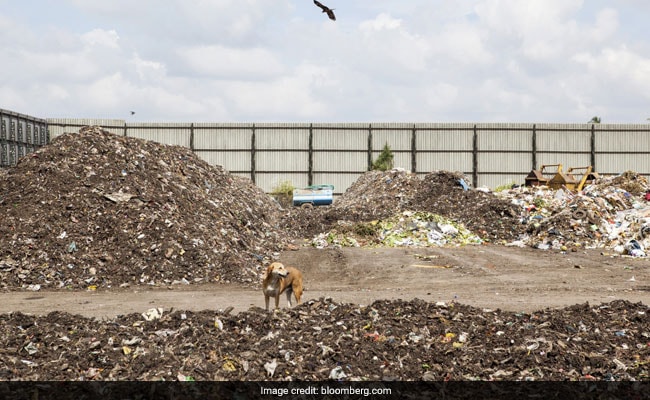 One City Is Turning A Mountain Of Trash Into Cash