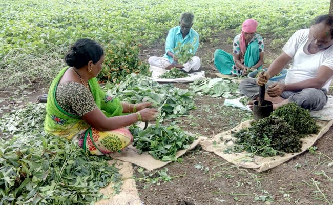 Risk-Taking Entrepreneurs Help Farmers Switch To Organic Cultivation