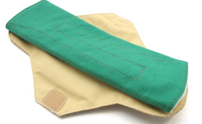 आम सैनिटरी नैपकिन से बेहतर है बायोडिग्रेडेबल पैड, दीया मिर्जा भी करती हैं इस्‍तेमाल