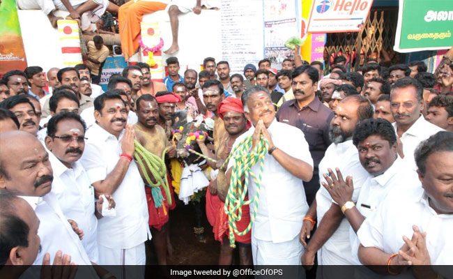 3 More Deaths At Jallikattu Events Amid Big Prizes Offered By Tamil Nadu Leaders
