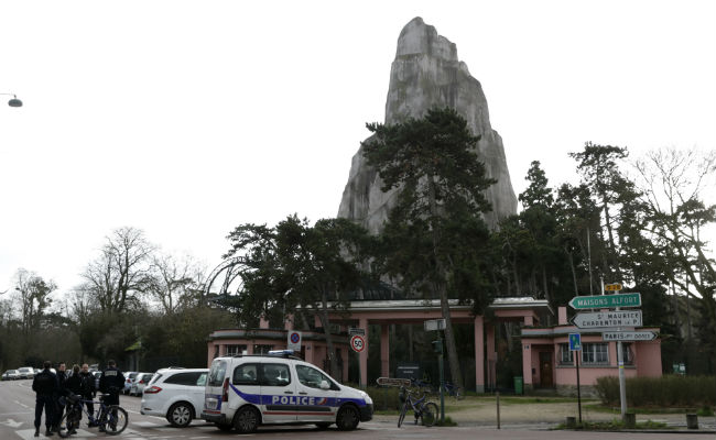 Paris Zoo To Reopen After Last Truant Baboons Found