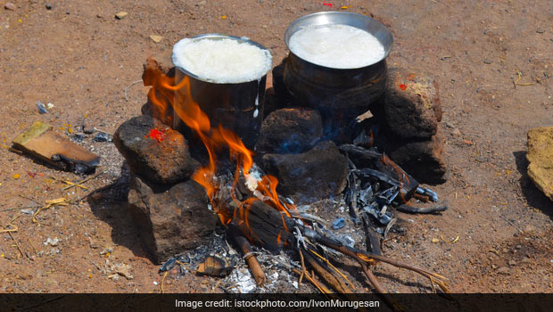 Pongal 2021: Why People Let Rice and Milk Overflow Out Of Vessels During Pongal Celebrations