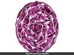 Purple Cabbage: सर्दियों में सूजन और गठिया के दर्द के लिए रामबाण है बैंगनी बंद गोभी! दिल के लिए भी फायदेमंद Purple Cabbage: सर्दियों में सूजन और गठिया के दर्द के लिए रामबाण है बैंगनी बंद गोभी! दिल के लिए भी फायदेमंद