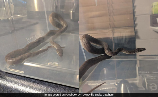 python fb