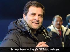 Congress Chief Rahul Gandhi Attends Rock Concert In Poll-Bound Meghalaya