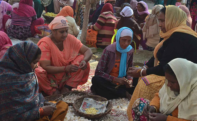 मन चंगा कर अपनी आत्मा की कठौती में संत रविदास की भक्ति में डूबे ‘रैदासी’